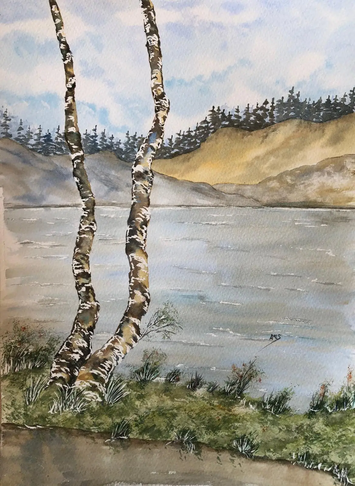 Riverside Birch Watercolour